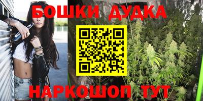 стаф Будённовск