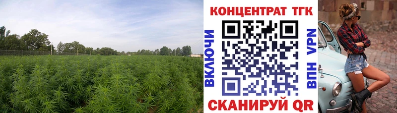 ТГК вейп  купить закладку  Барнаул 