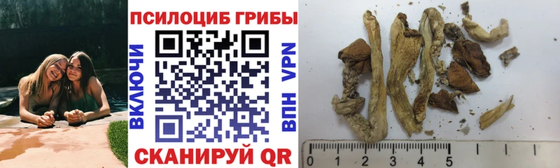 где купить наркоту  Барнаул  Псилоцибиновые грибы Magic Shrooms 