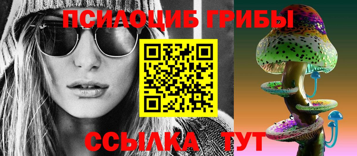 Галлюциногенные грибы Psilocybe  Псилоцибиновые грибы мицелий  где купить наркоту  Барнаул 