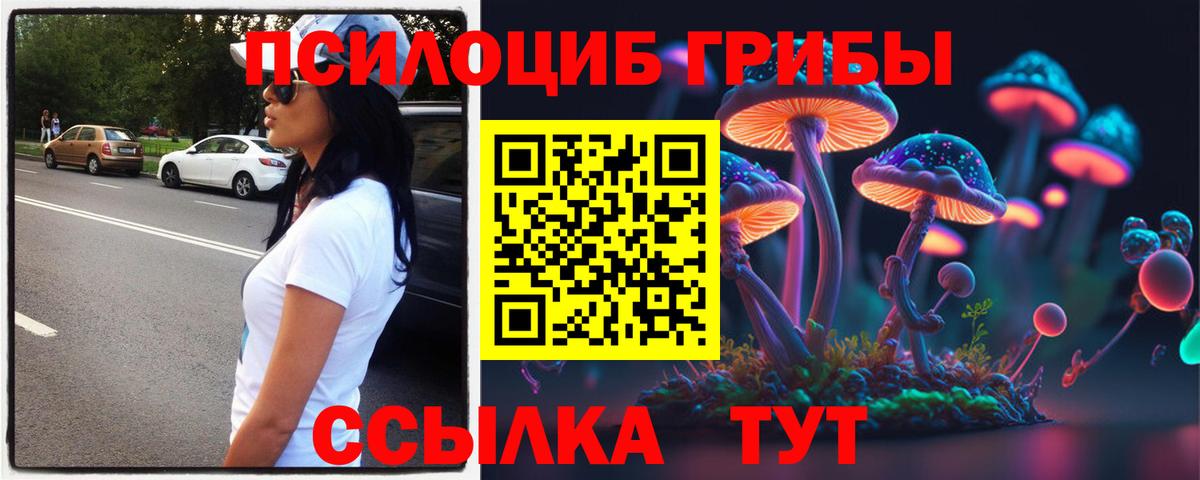 Псилоцибиновые грибы GOLDEN TEACHER Барнаул