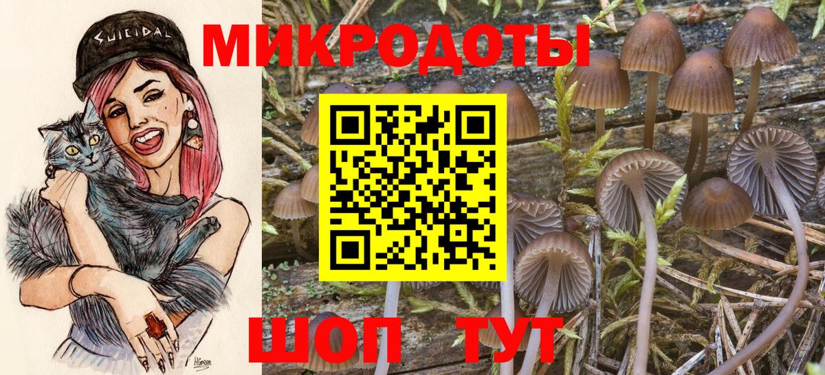 даркнет сайт  Вход с VPN  Барнаул  Псилоцибиновые грибы Psilocybine cubensis 